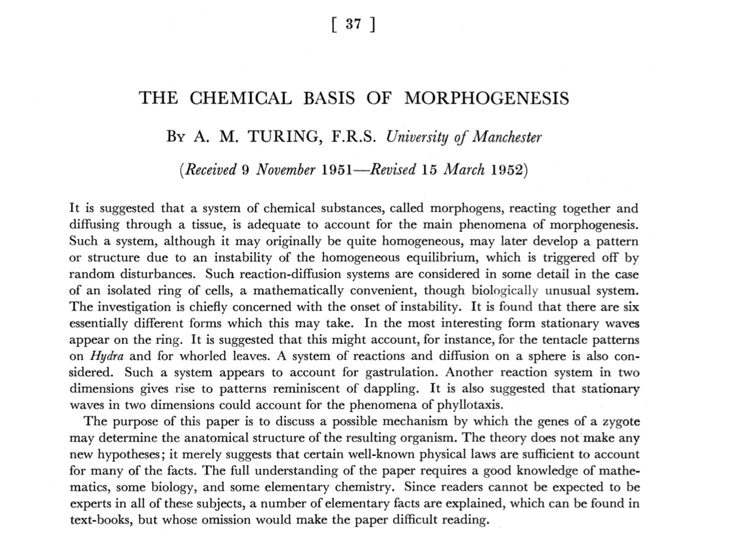 A Glimpse of Turing Patterns - by Ashwathi Nair