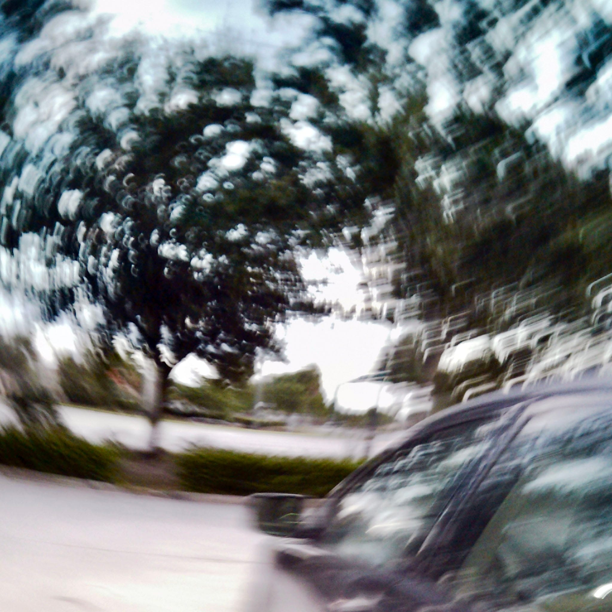 What Is A Paper Shoot Camera? - by Bill Blevins