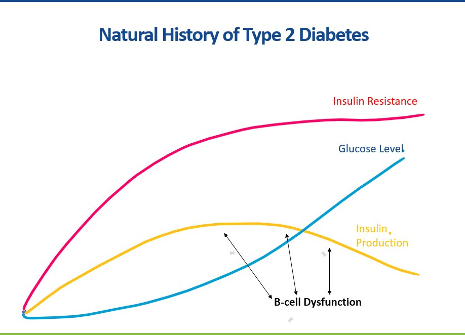 Insulin resistance and insulin levels