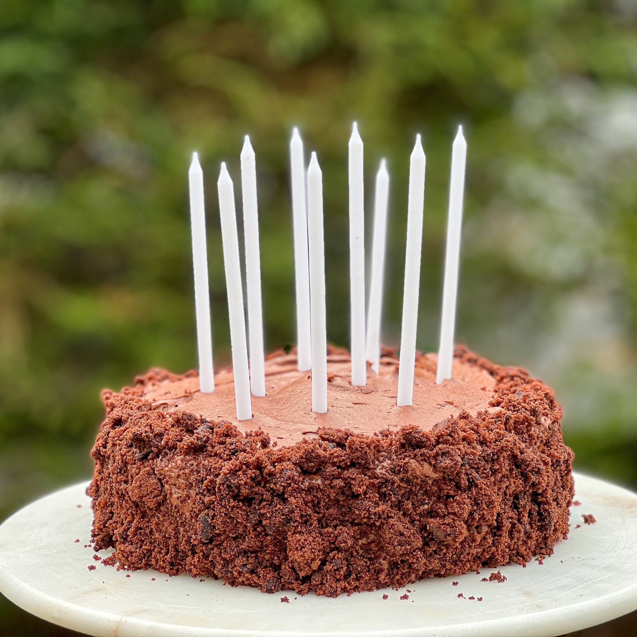 Devil's Food Party Cake Celebrating Joshua's birthday with chocolate