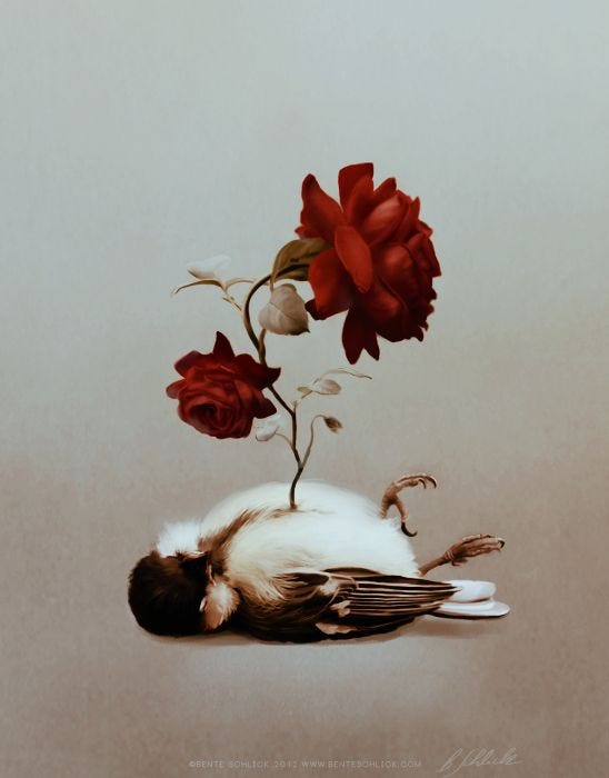 Field Of Flowers 2 by the tumblr girl on DeviantArt richy .vn