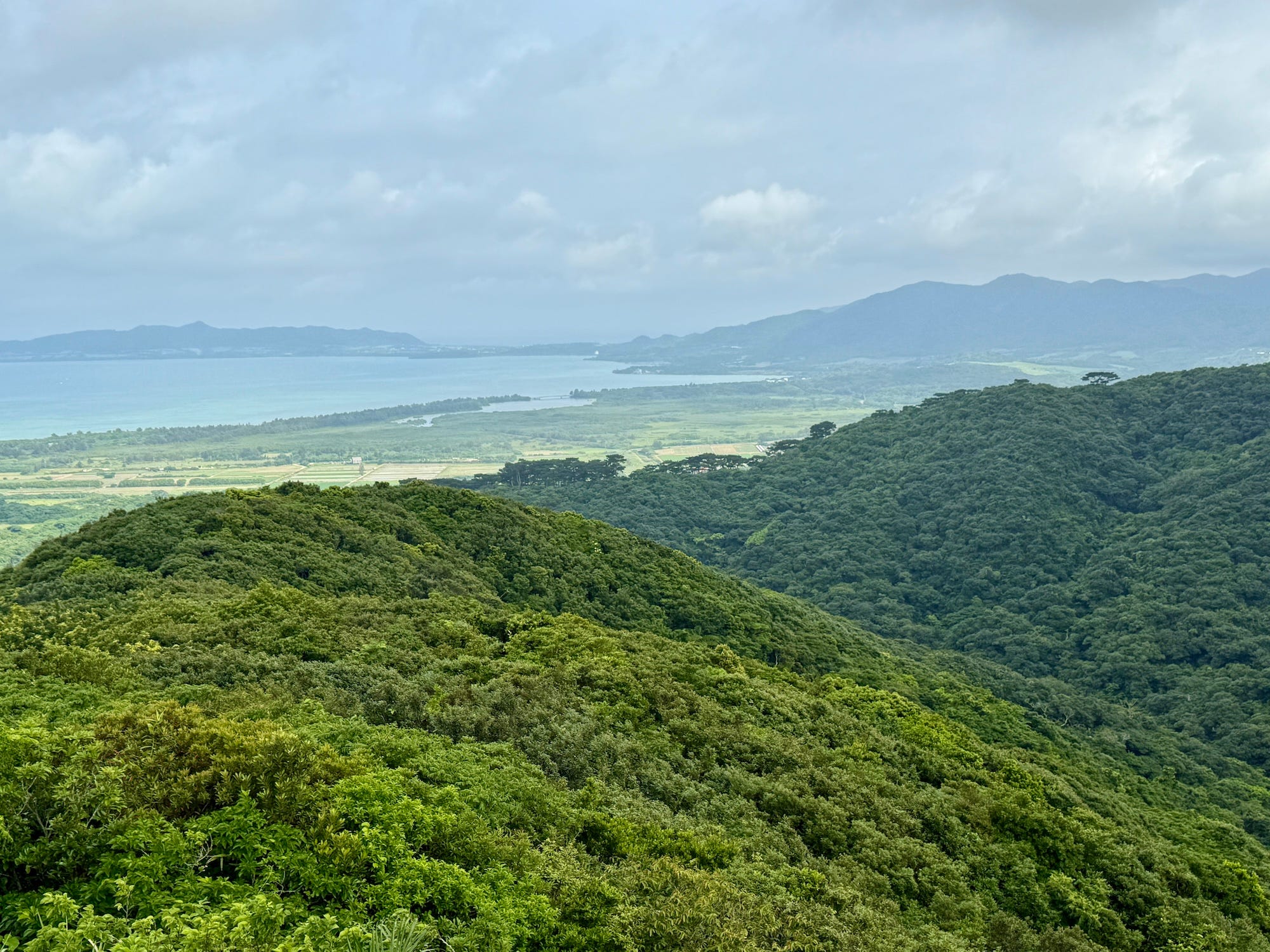 新しいブランド Photo Japan--A Ishigaki, Essay Mackison Bo by - 自然、風景