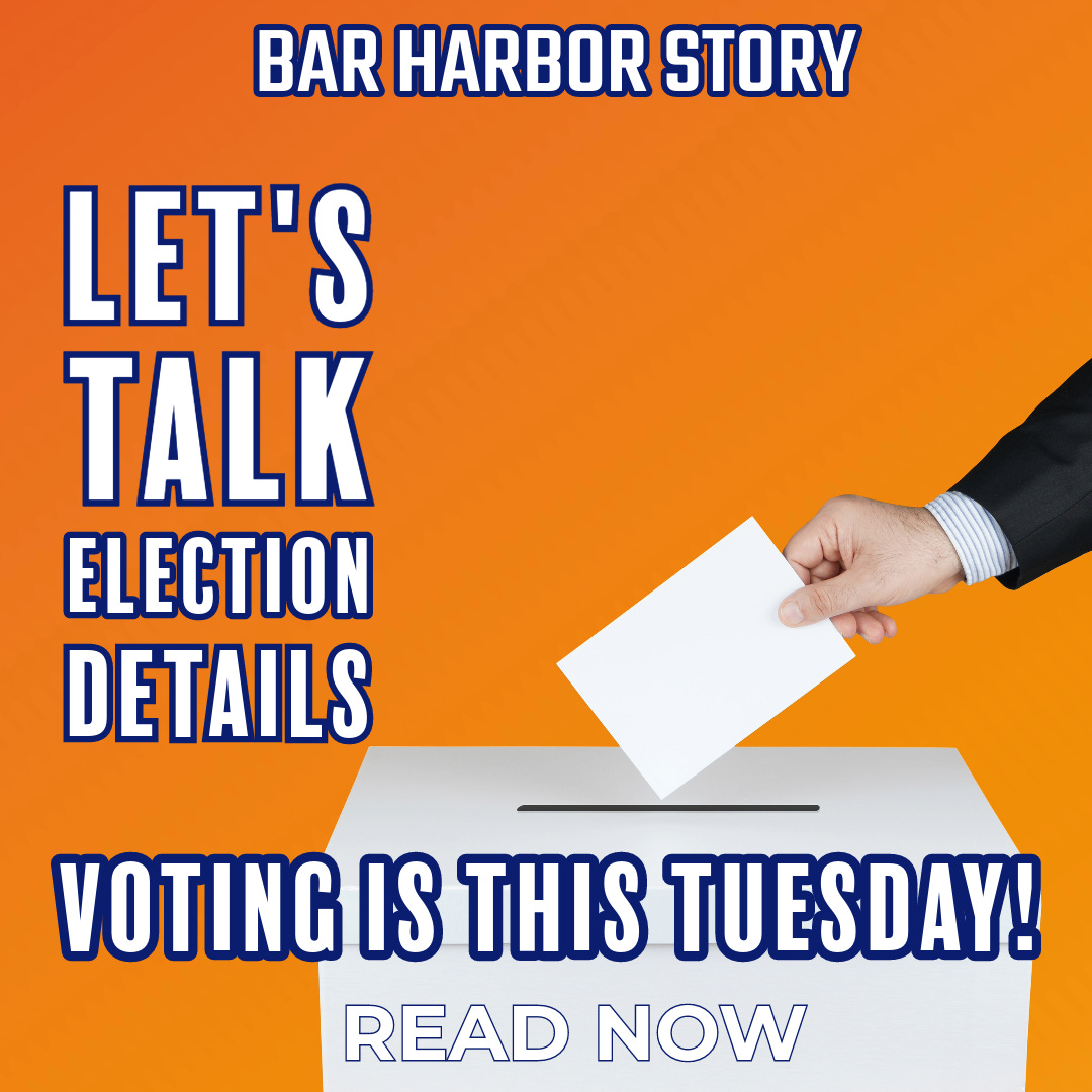 Let's Talk Election Details by Carrie Jones