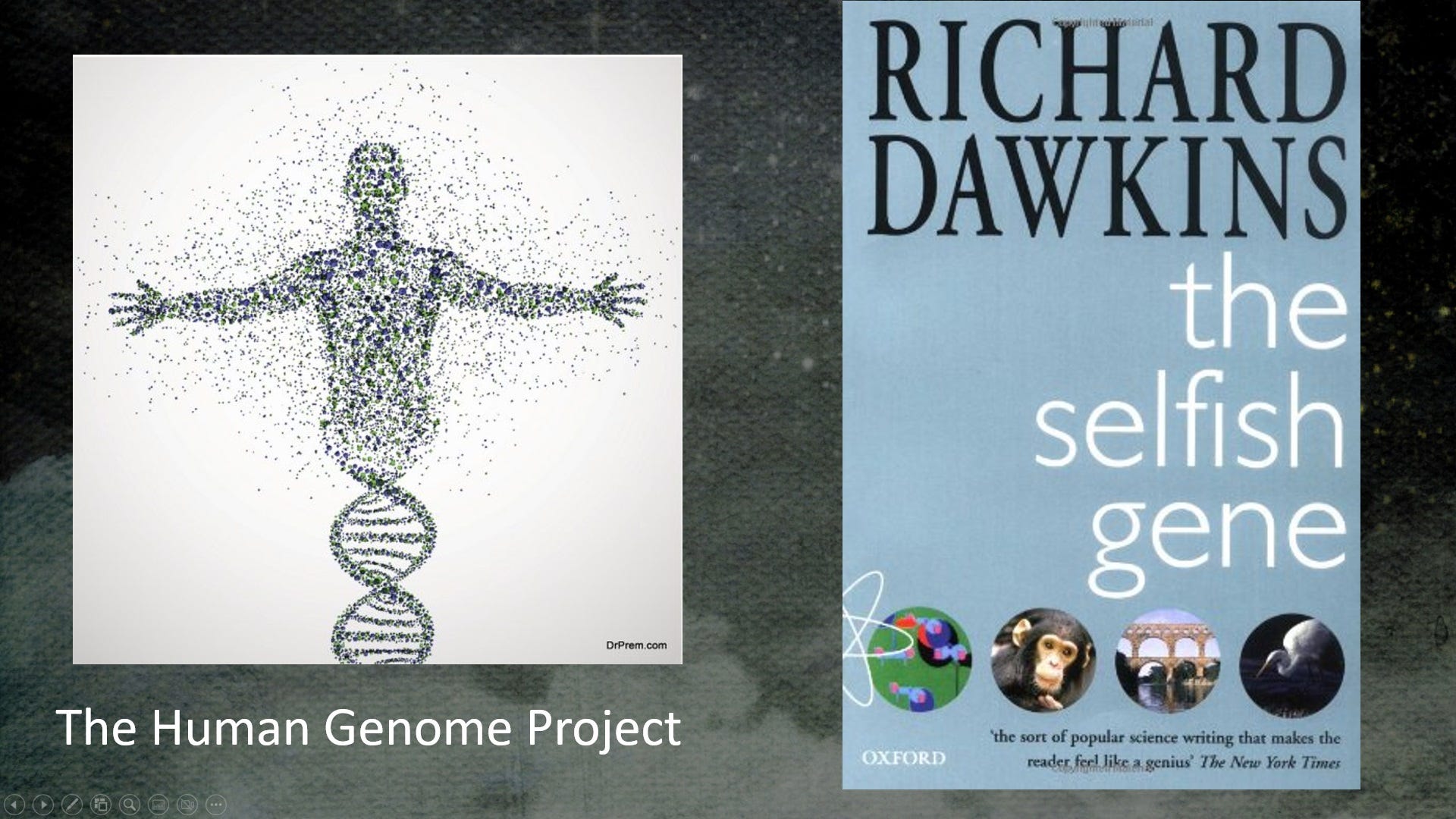 Why H.G. Wells' World Brain and Yuval Harari's Hackable Human Will Not ...