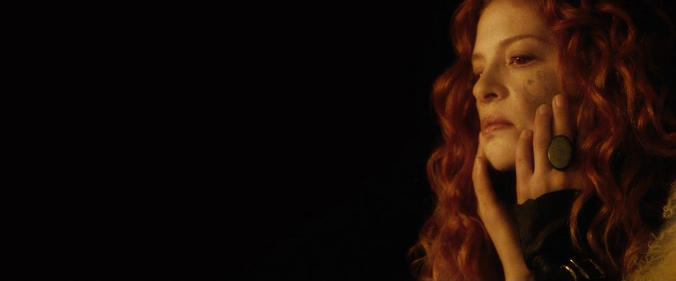 Twilight Saga New Moon By Erin Mitchell