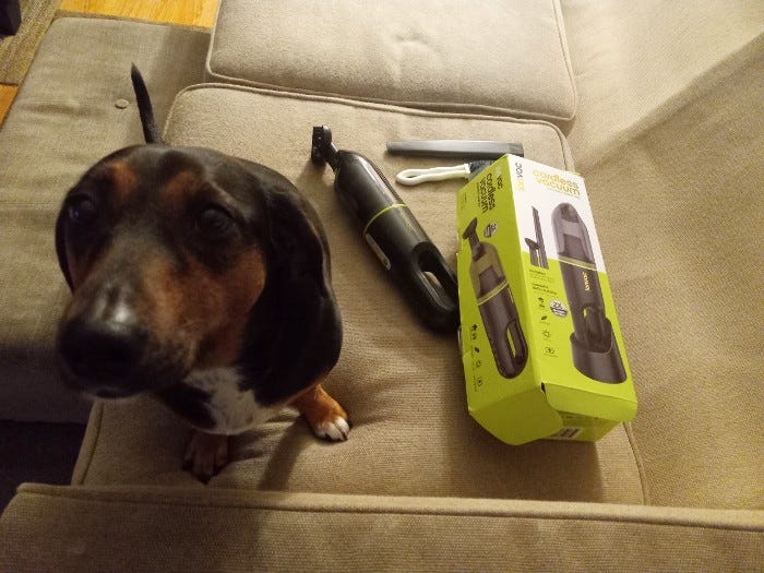Furbegone brush clearance