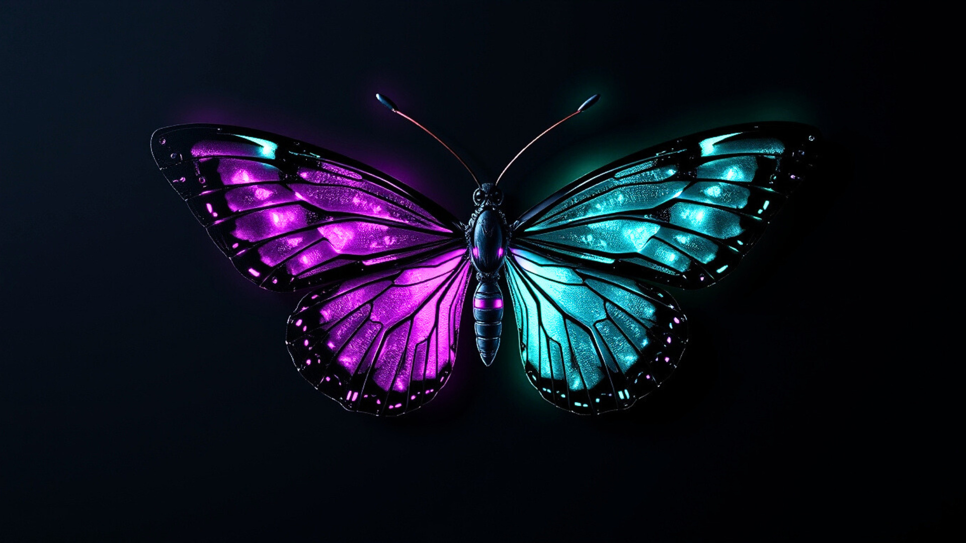 24. Forward And Backward Propagation - Nic vs. Algorithm