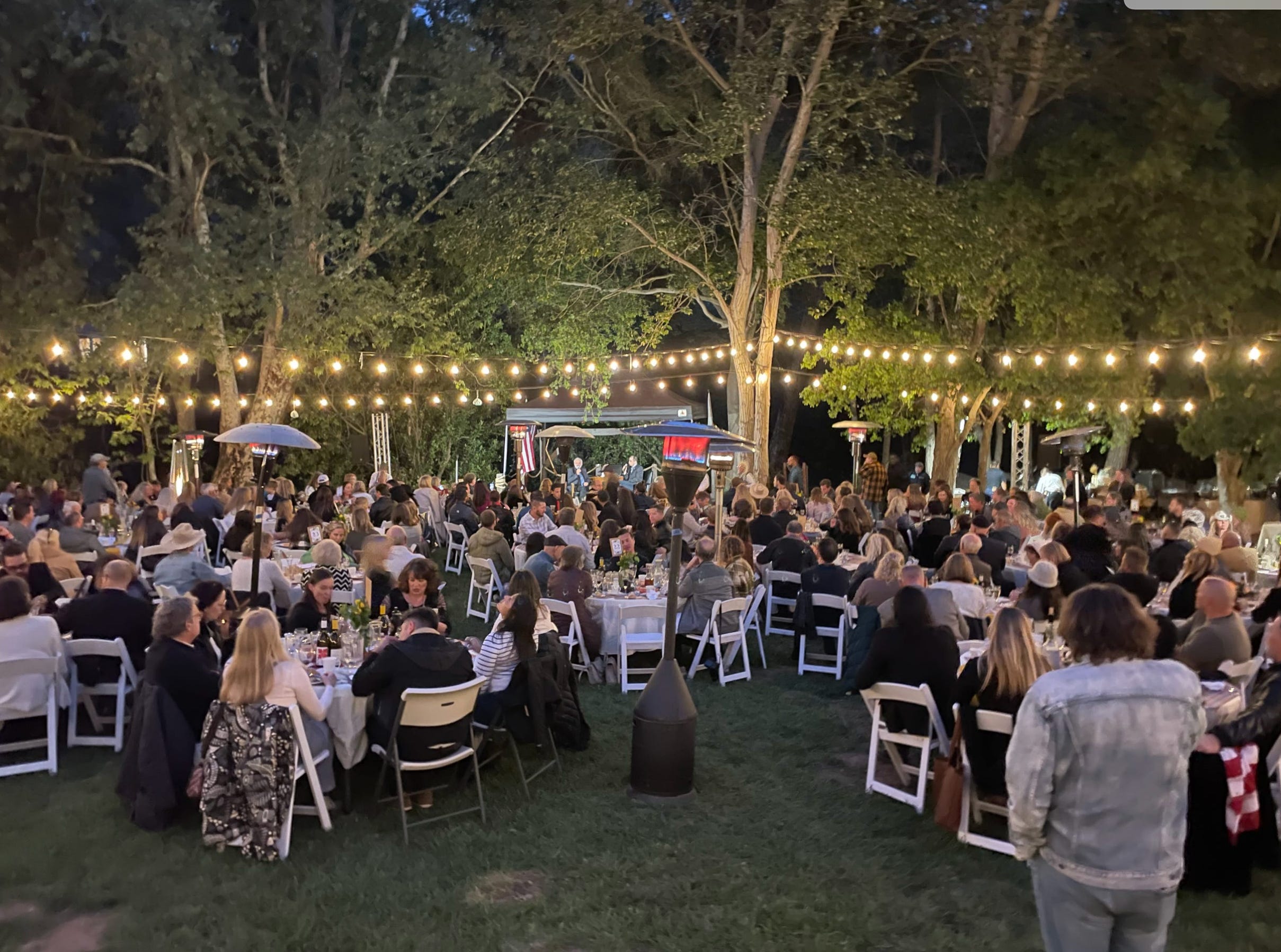 Troubling Truths Behind the Covid-19 Pandemic