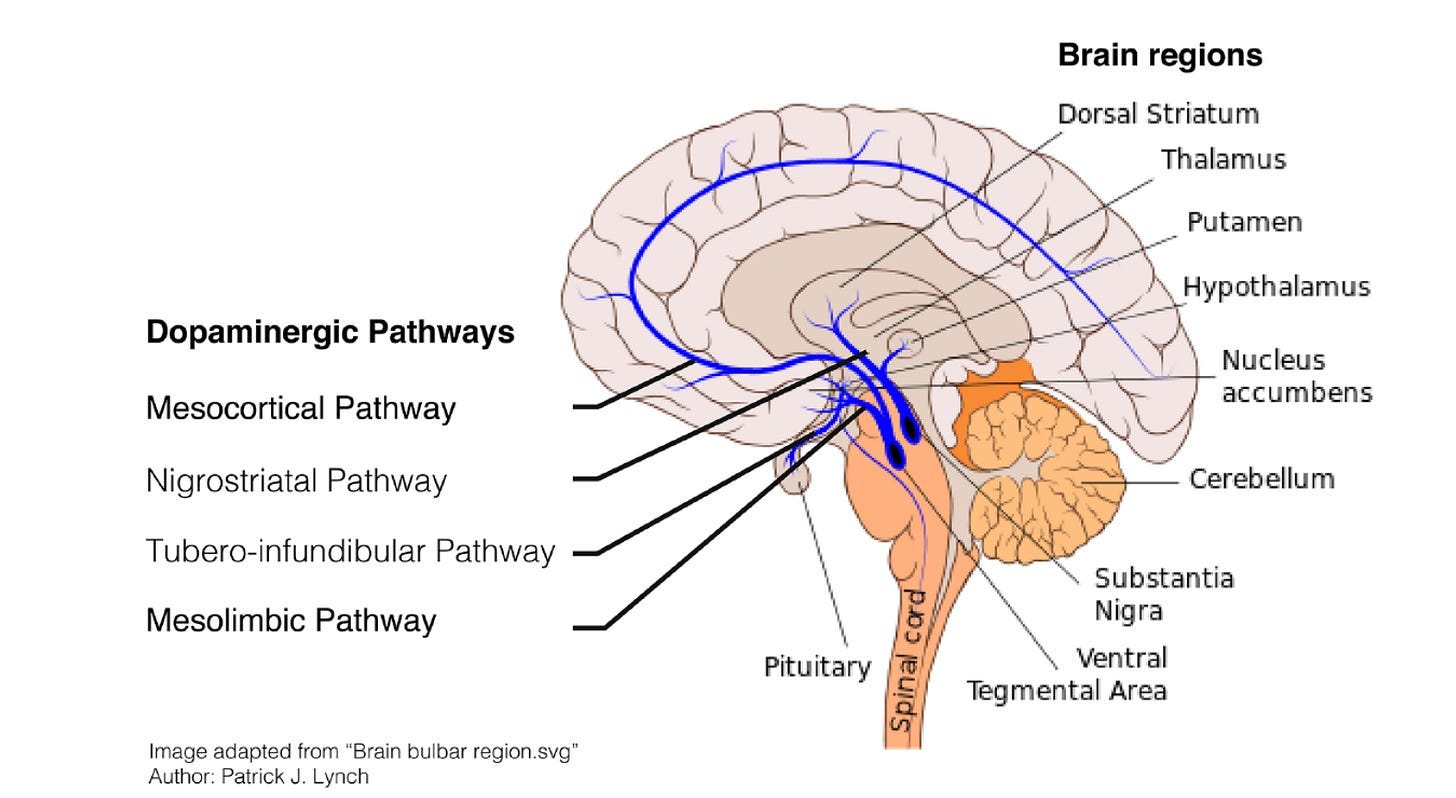 Dopamine: Everything you need to know - by Frazer Mawson