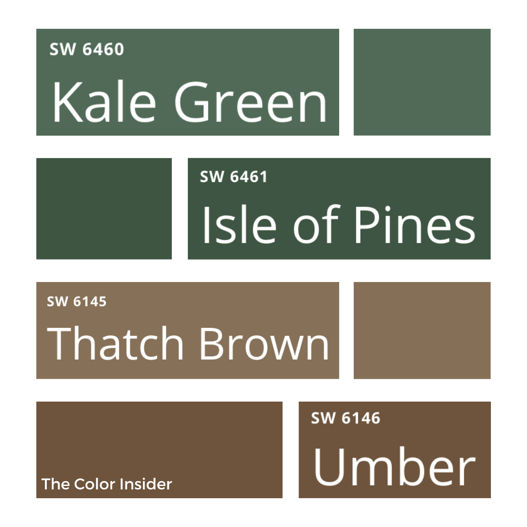 Dark Academia - Color Insider