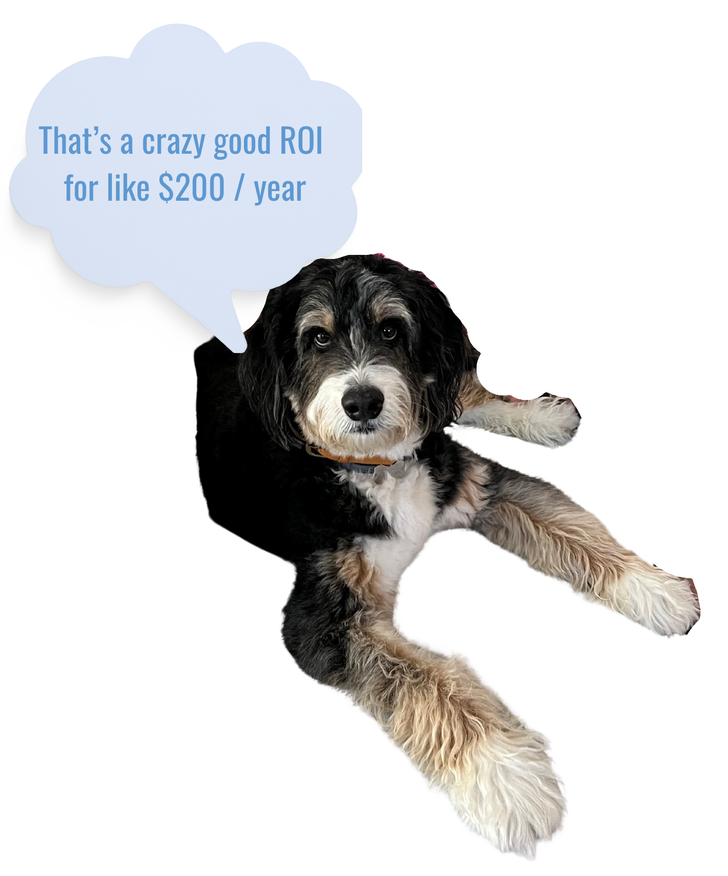 Your Complete Guide to Single and Double Trigger Vesting