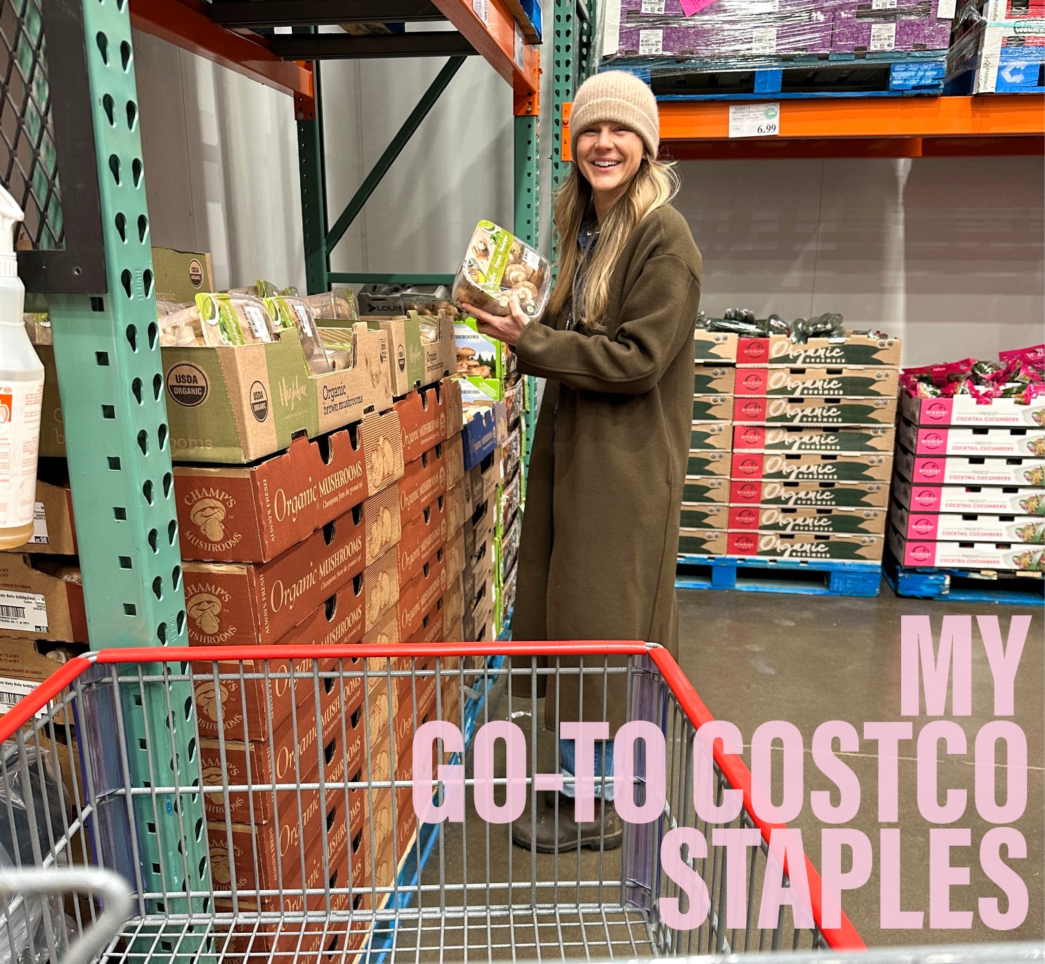 Costo blundstone outlet