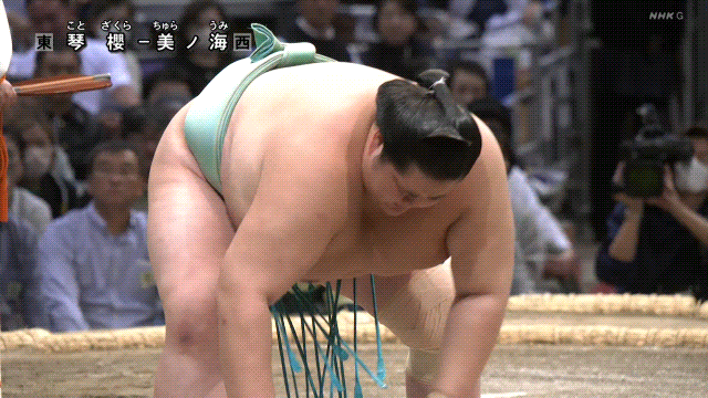 2024 Kyushu Basho: Day 8 results and analysis