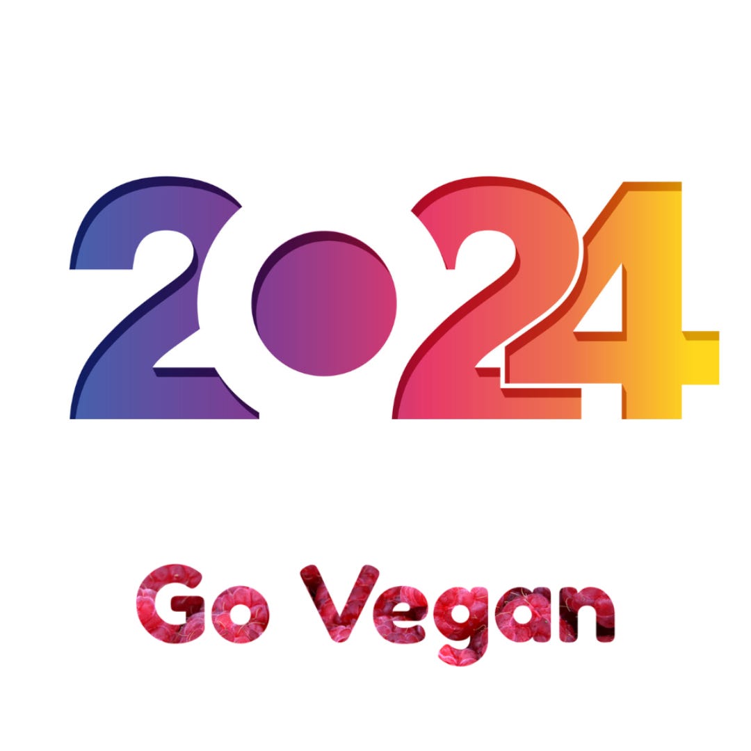 Embracing Veganism In 2024 A 5 Step Transition Guide   0930a45c Bf26 495e A291 9c4380805aa3 1080x1080 