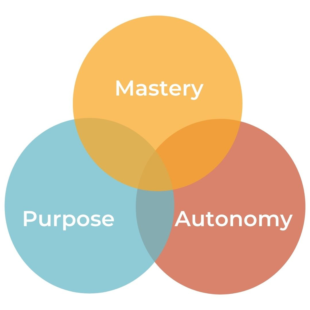 Understanding Employee Motivation: Dan Pink's Secrets of Autonomy