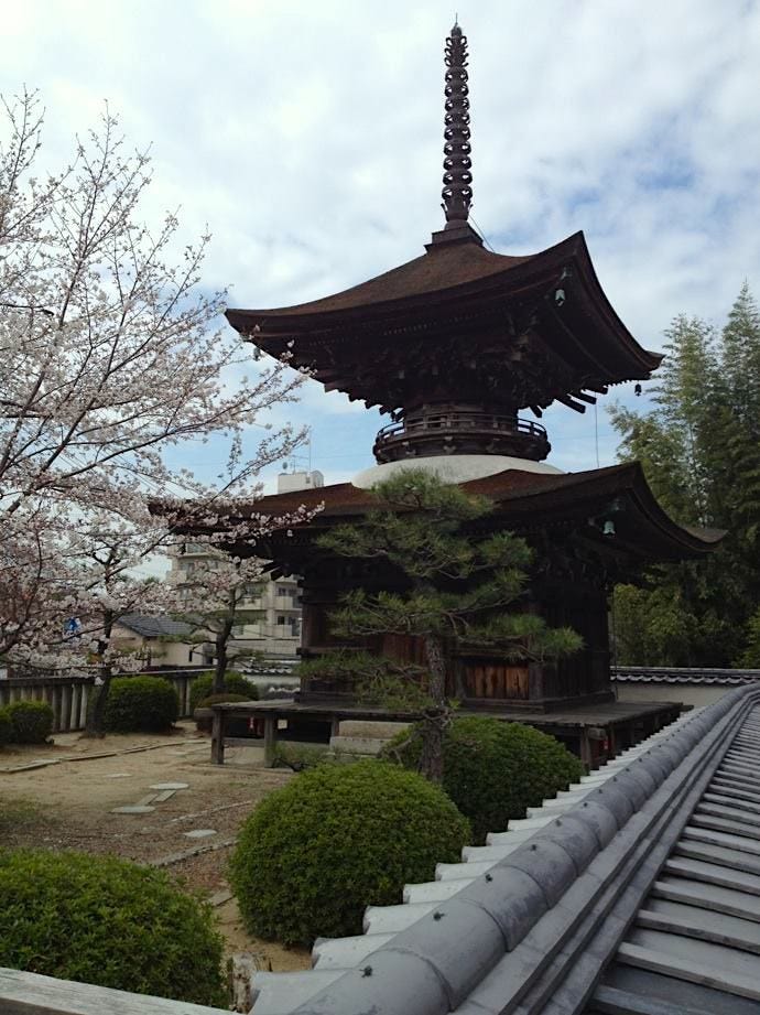 Temple of the Tokugawa - Samurai History & Culture Japan