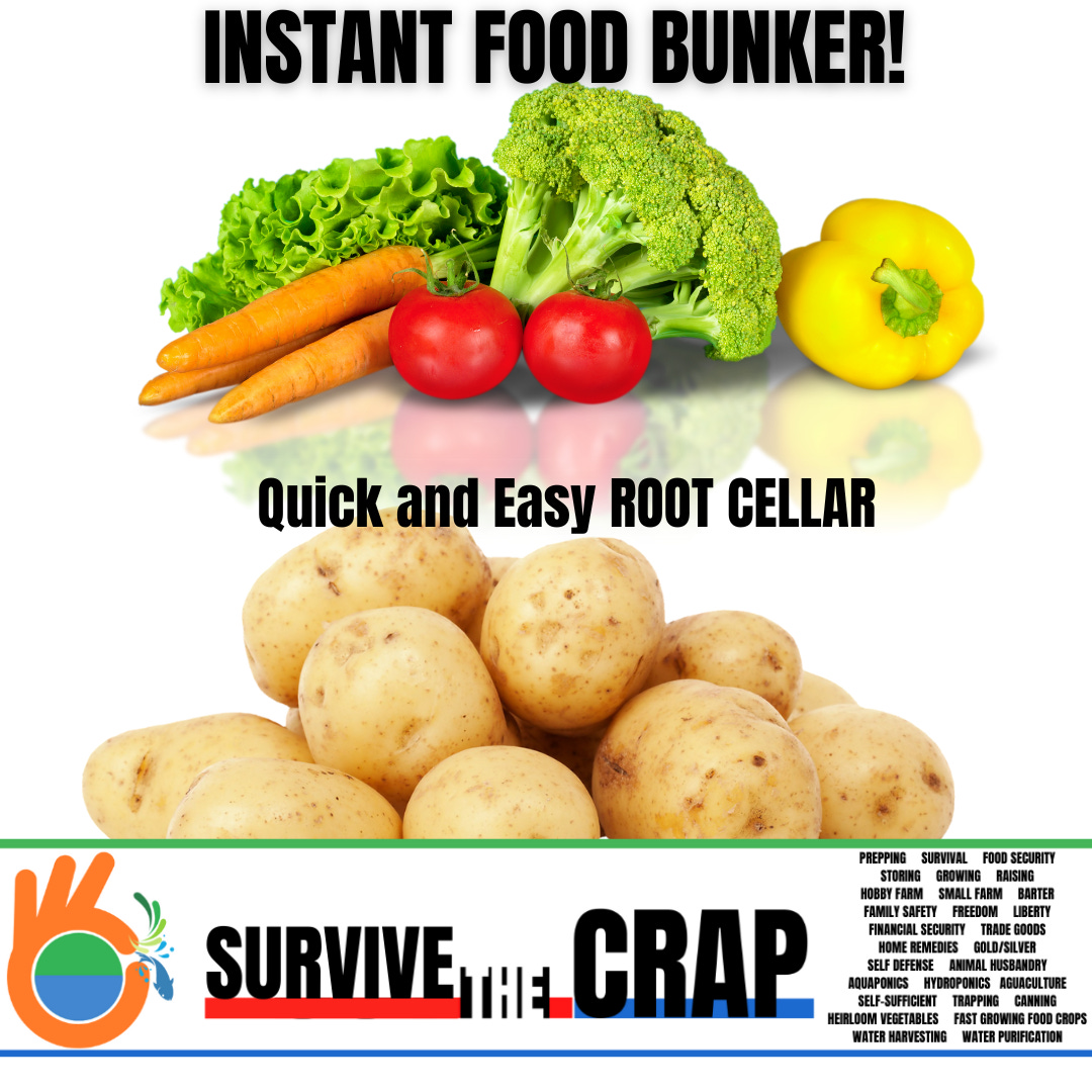 Create An Easy and Instant Food Bunker!