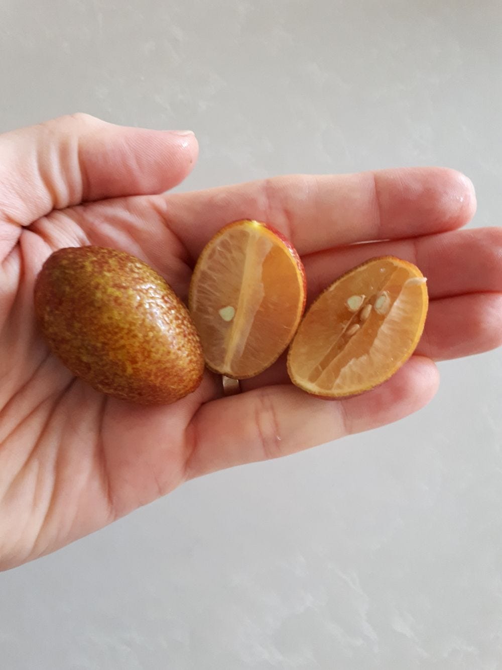 Native Limes - by JP - Bush Food Forager