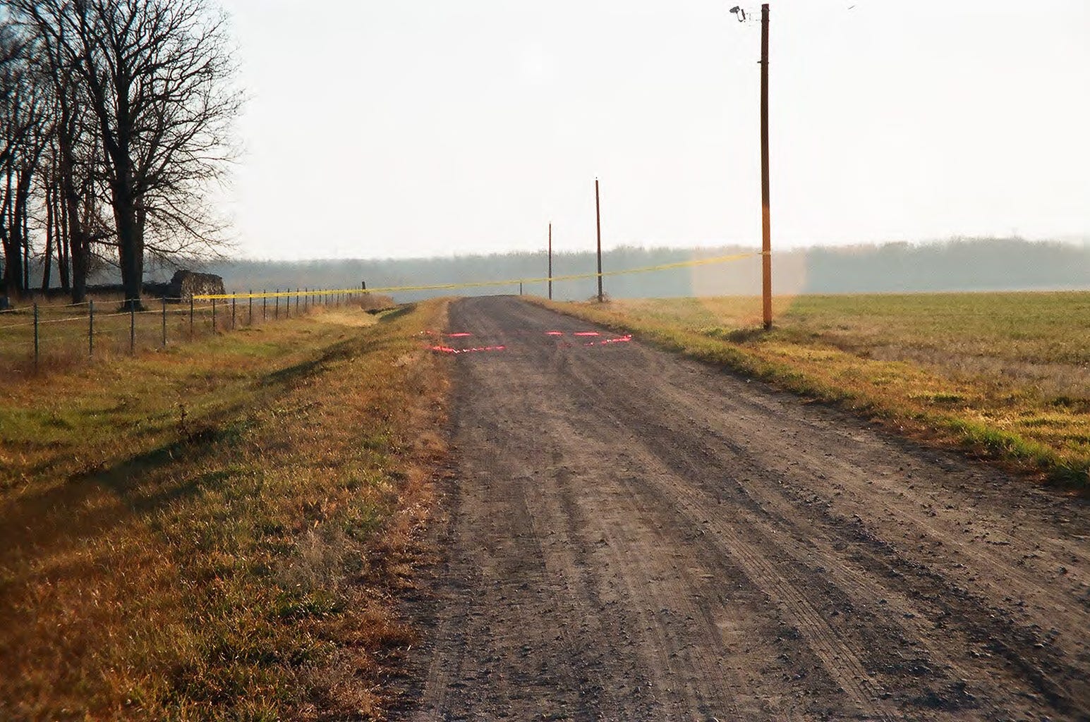 A few questions answered, but more to ponder - by Joy Baker