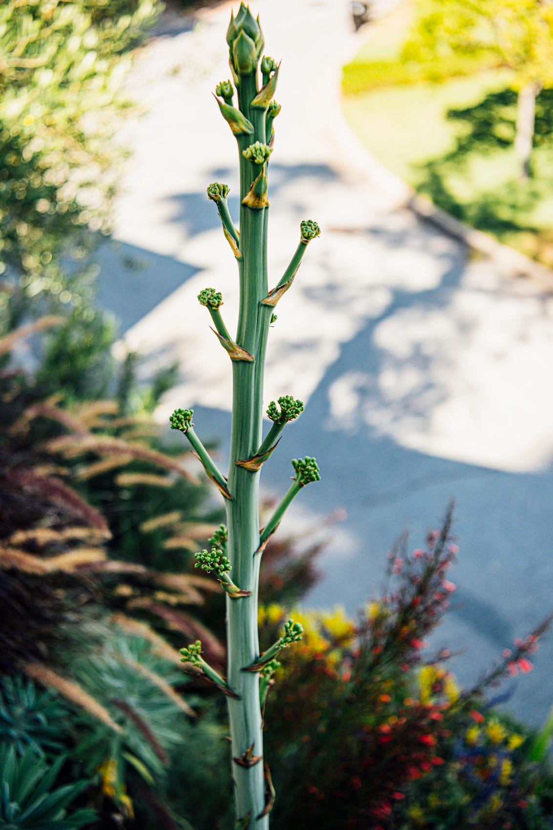 Talking Ice Cream with David Lebovitz