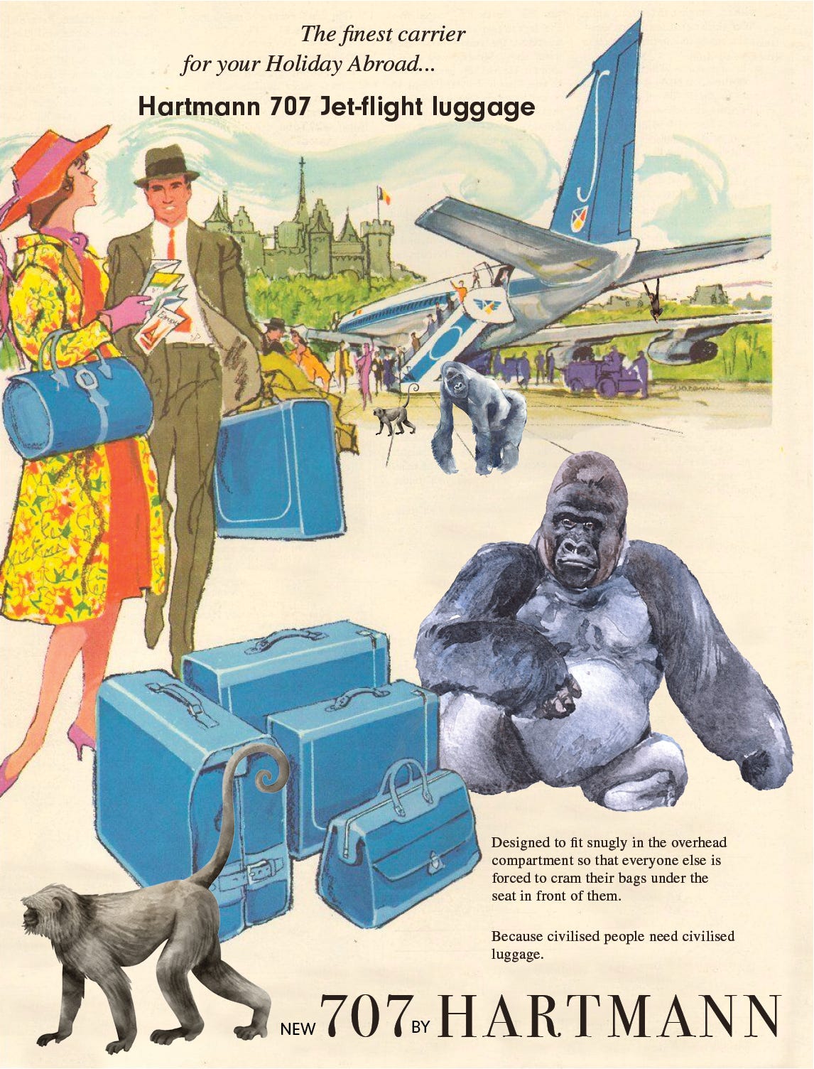 Overhead baggage cheap