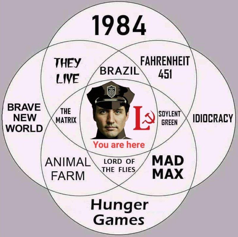 the reason i cant eat lamb - Rays the alarm