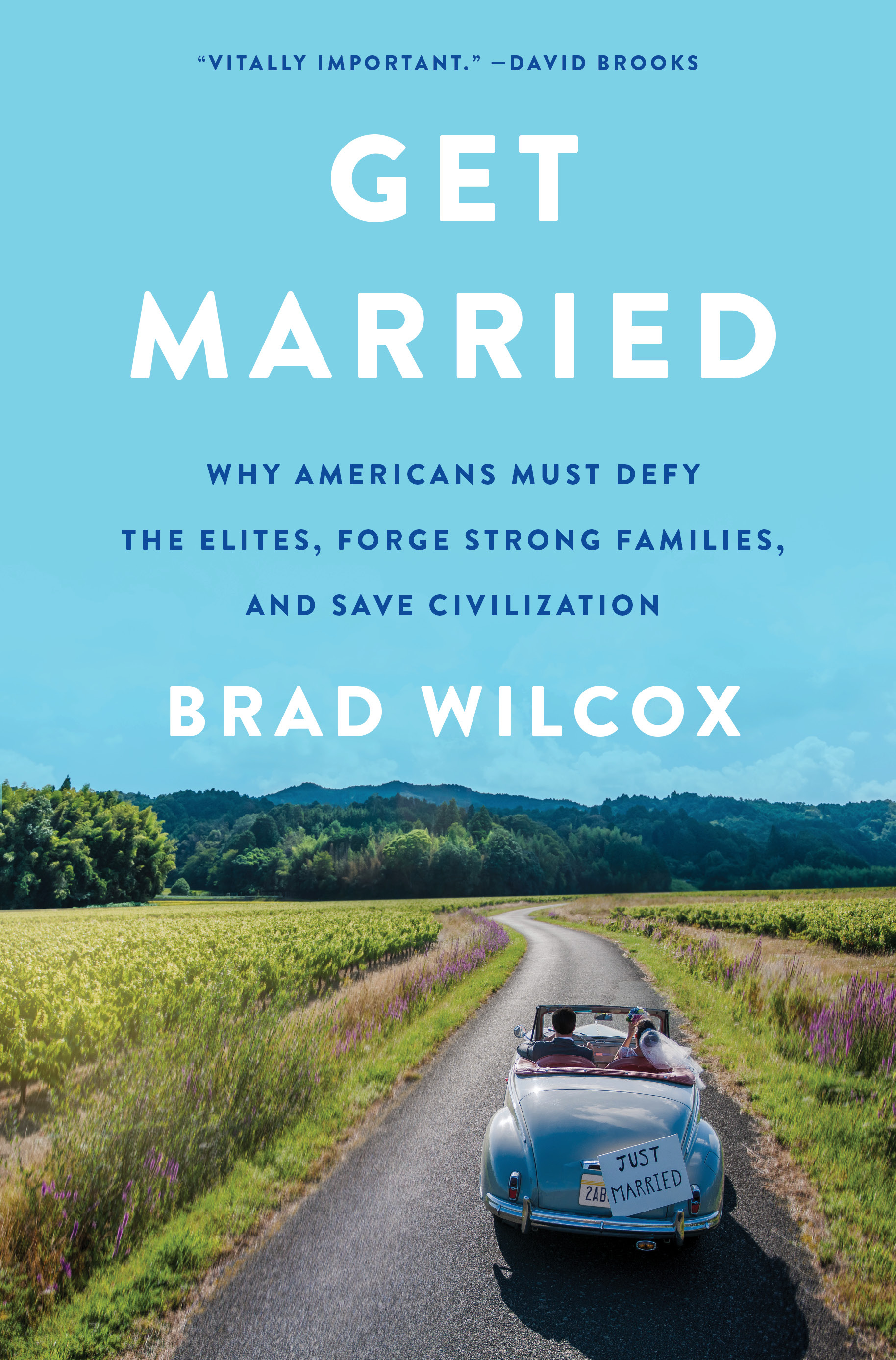 Why You Should Get Married By Brad Wilcox Why You Should Get Married By Brad Wilcox