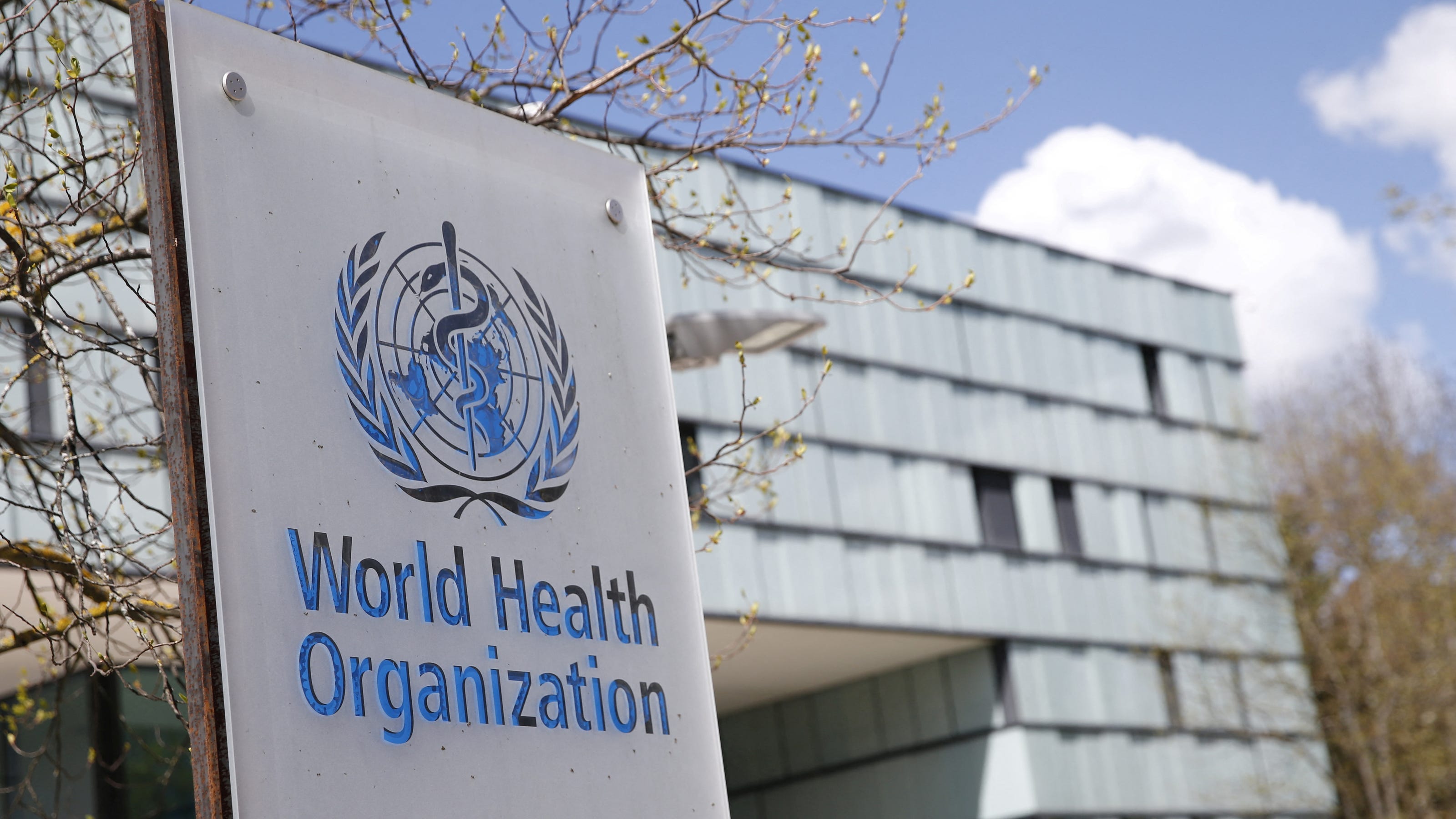 US withdrawal from the WHO shines spotlight on need for reform