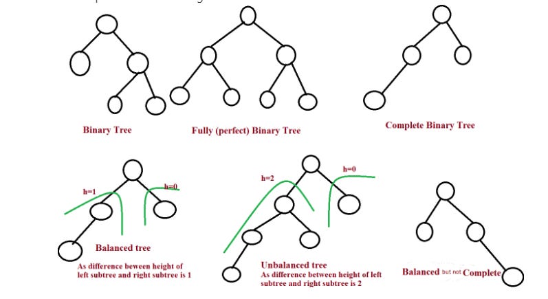 Binary Trees - 1 - - by Shaza Ali - Shaza’s Substack