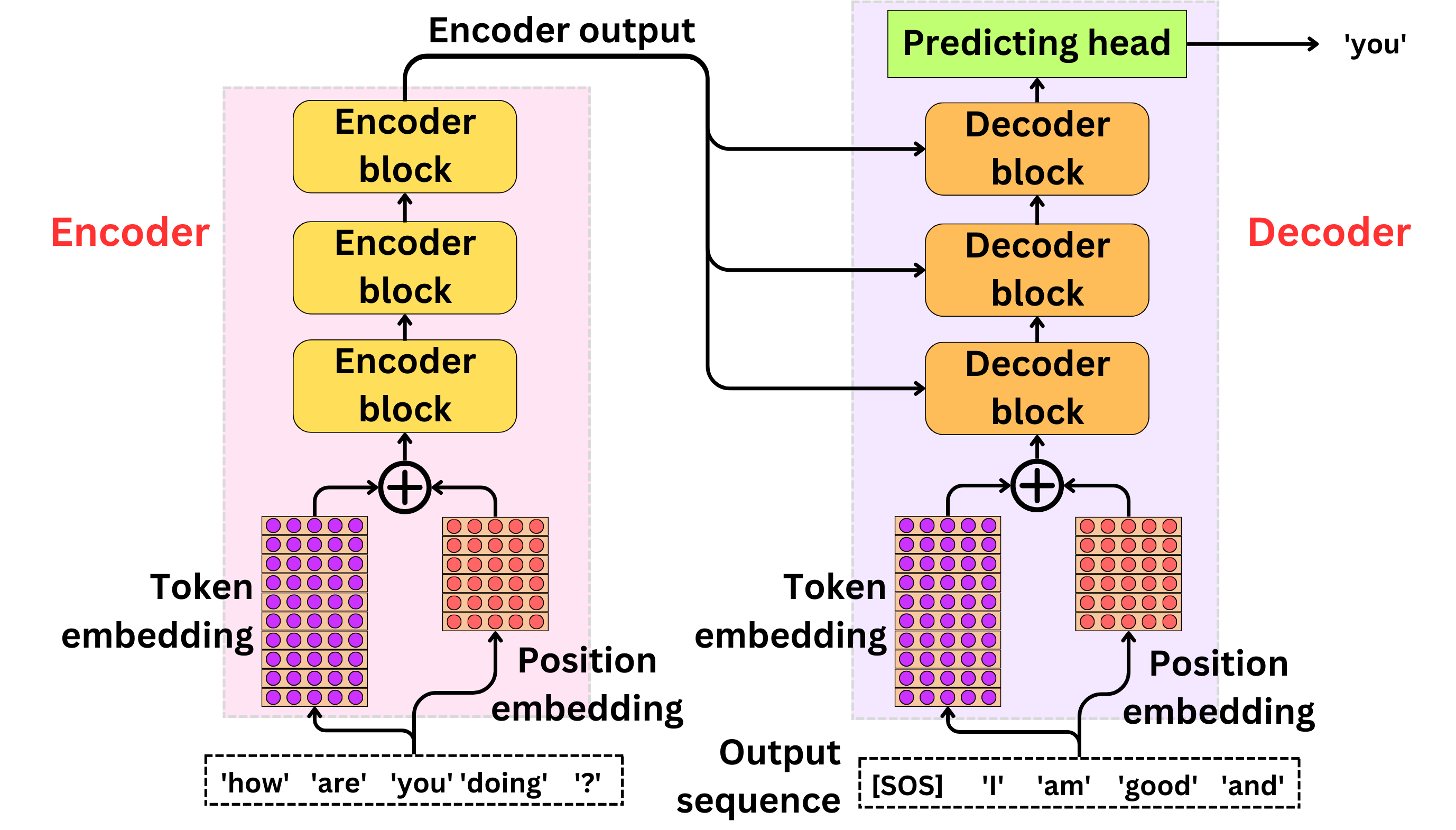 Understanding The Transformer Architecture