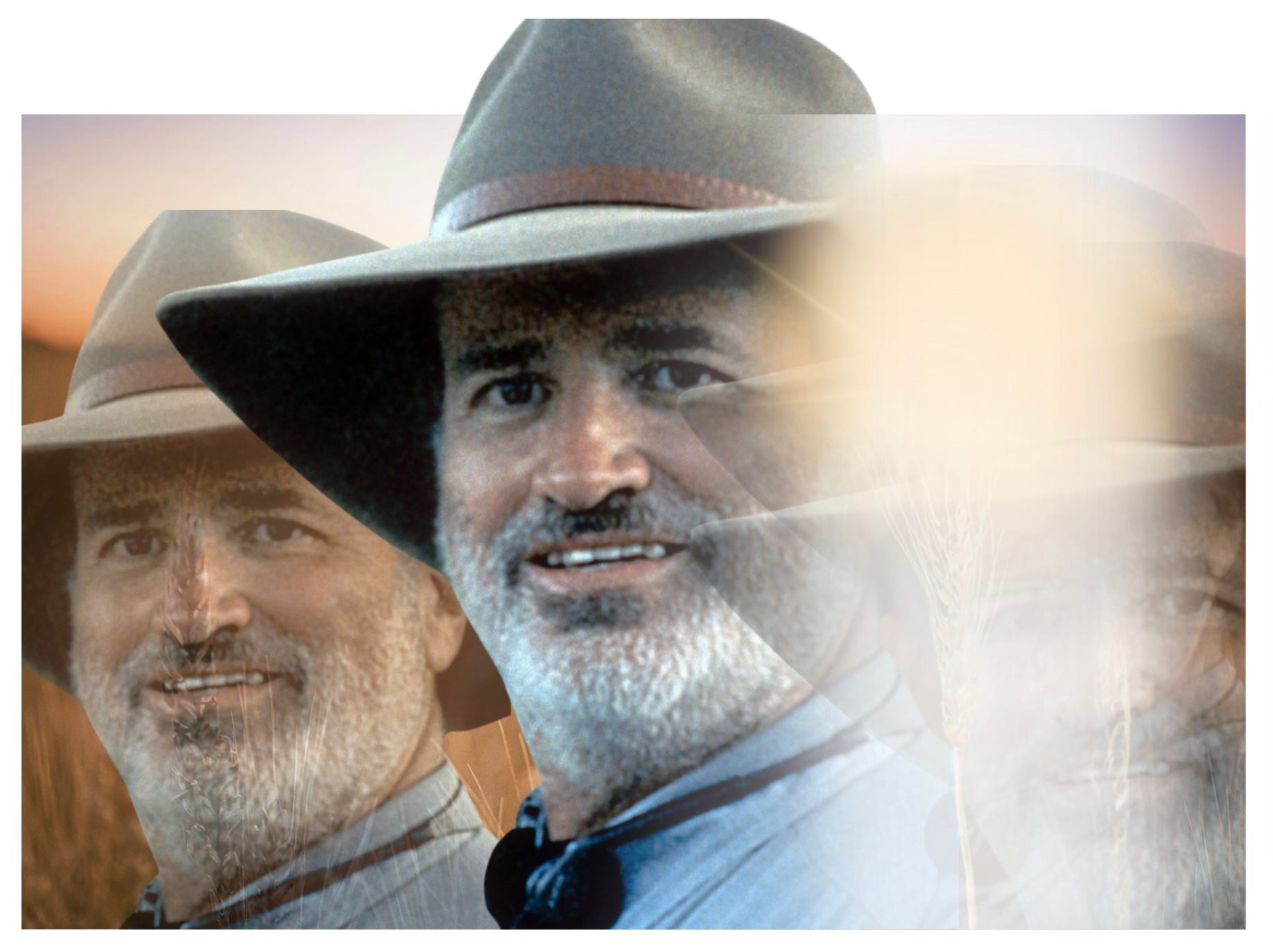 Terrence Malick's Lost Decades What Really Happened