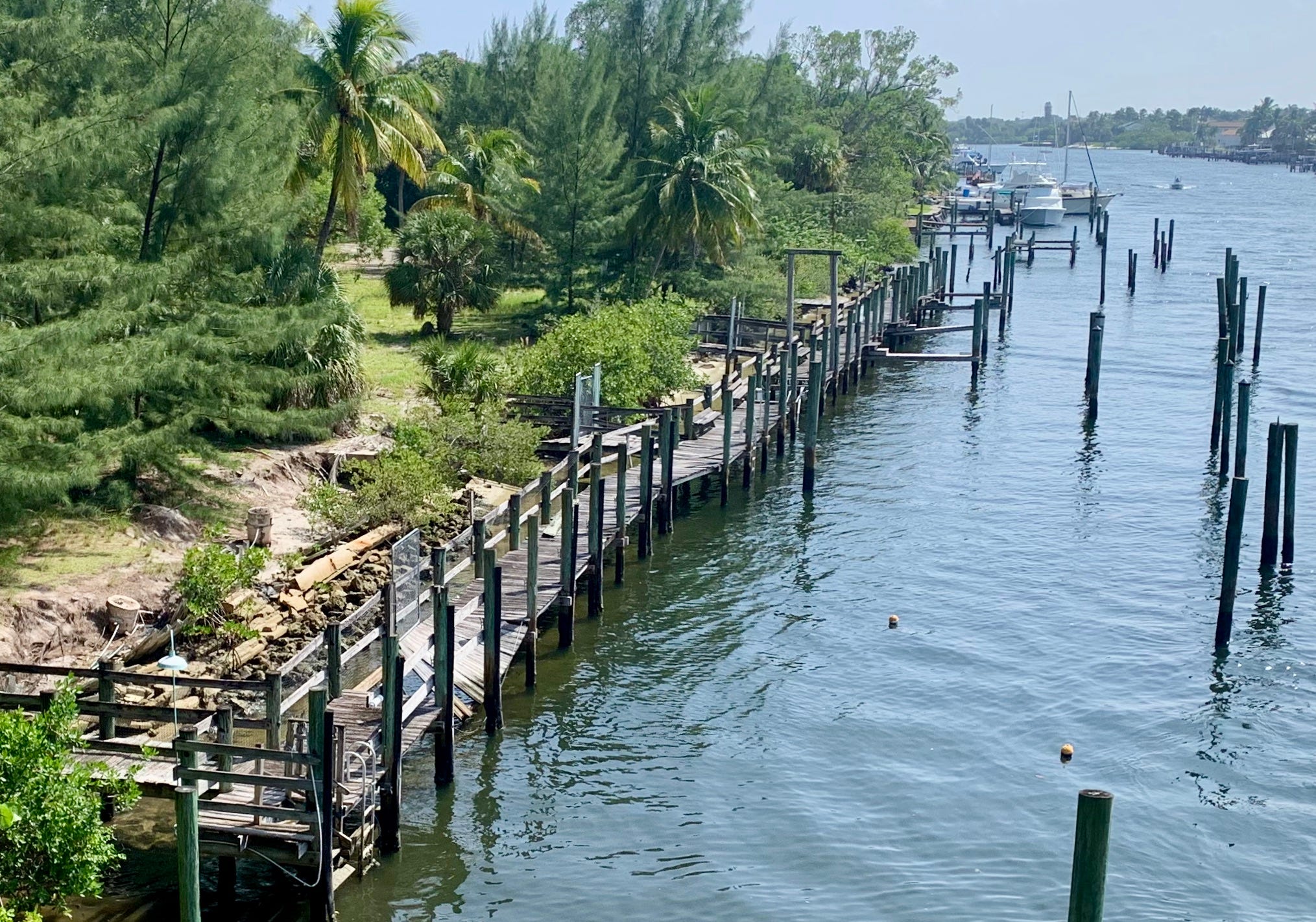 Panama Hattie’s transformed Developer Dan Catalfumo’s Ritzy vision