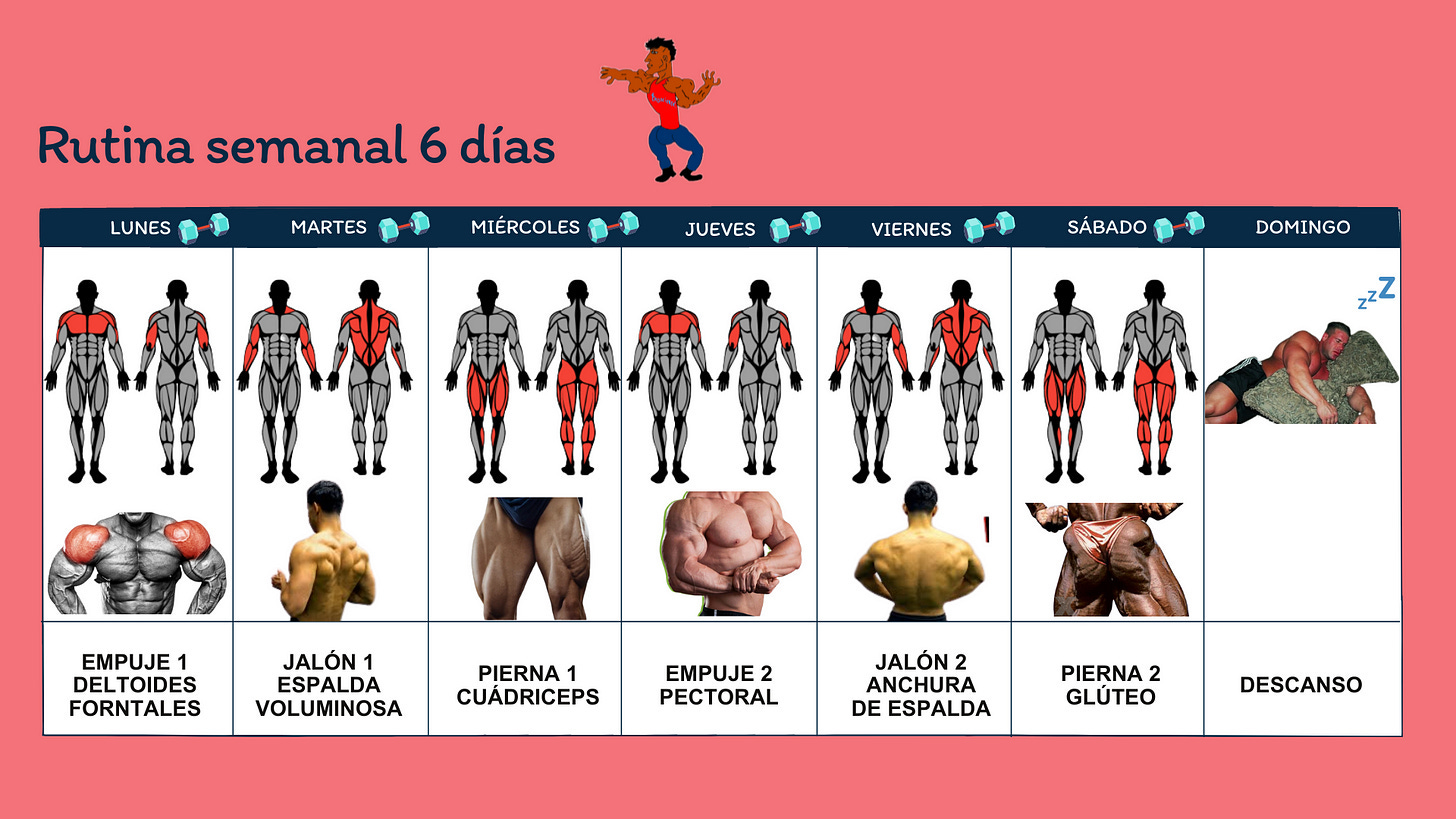 RUTINA DE 6 D AS PARA M XIMA HIPERTROFIA