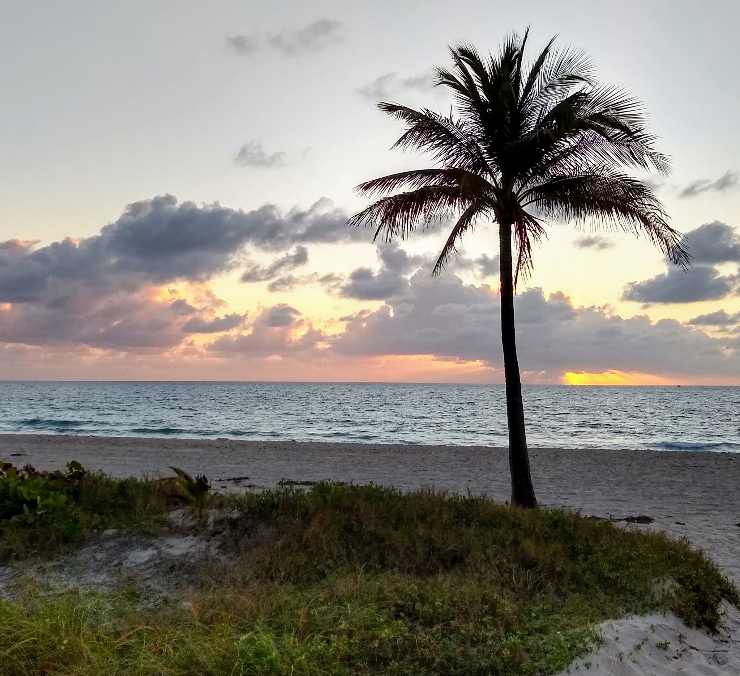 Palm Beach County's Living Wage Is 18.12 per Hour