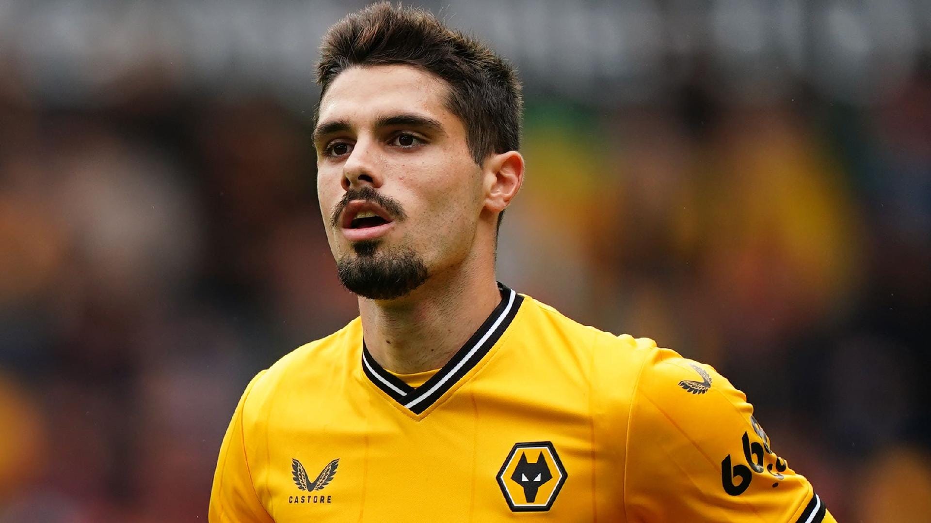 Câu lạc bộ bóng đá Wolverhampton Wanderers - Hành trình lịch sử và văn hóa bóng đá đặc sắc Câu lạc bộ bóng đá Wolverhampton Wanderers – Hành trình lịch sử và văn hóa bóng đá đặc sắc