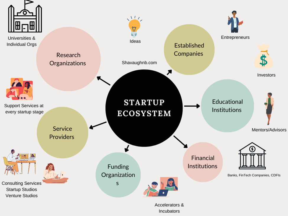 Dissecting the Startup Ecosystem - Shavaughn’s Newsletter