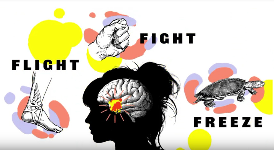 Fight Or Flight, Or Freeze? Sex-Differences In The Amygdala