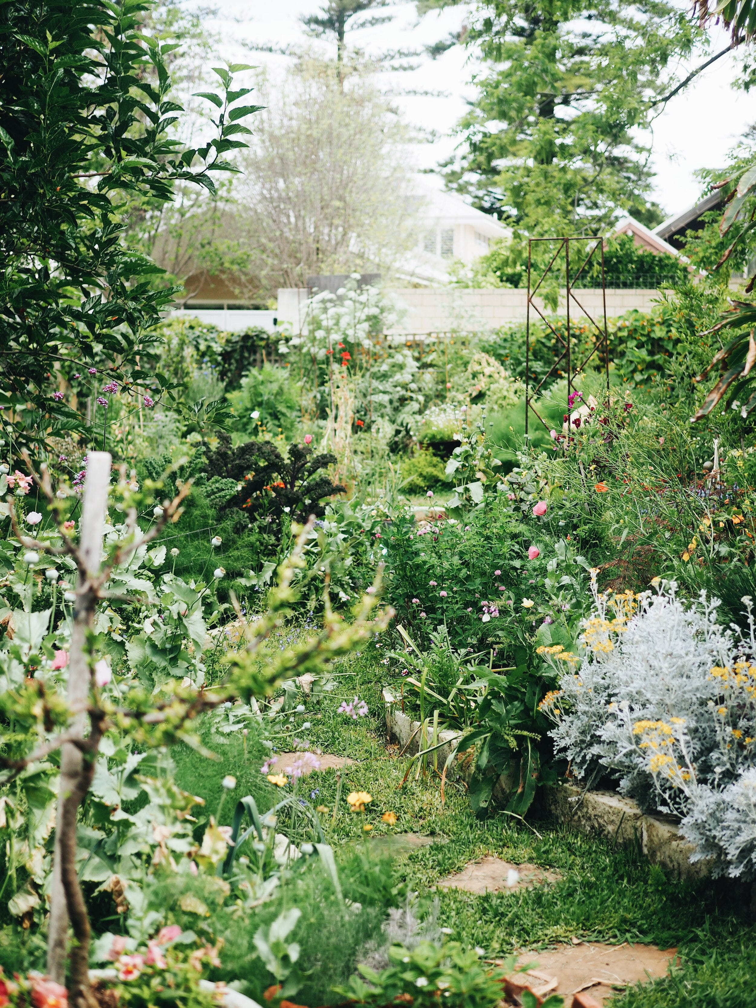 How to grow an English cottage garden - by Casey Lister