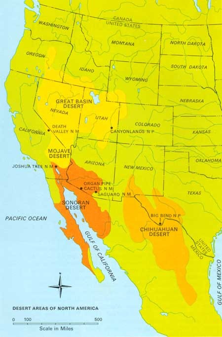 North American Deserts By Jan Spell 16965b4d 098d 4bd7 9966 7c65e2c2d7bf 450x683