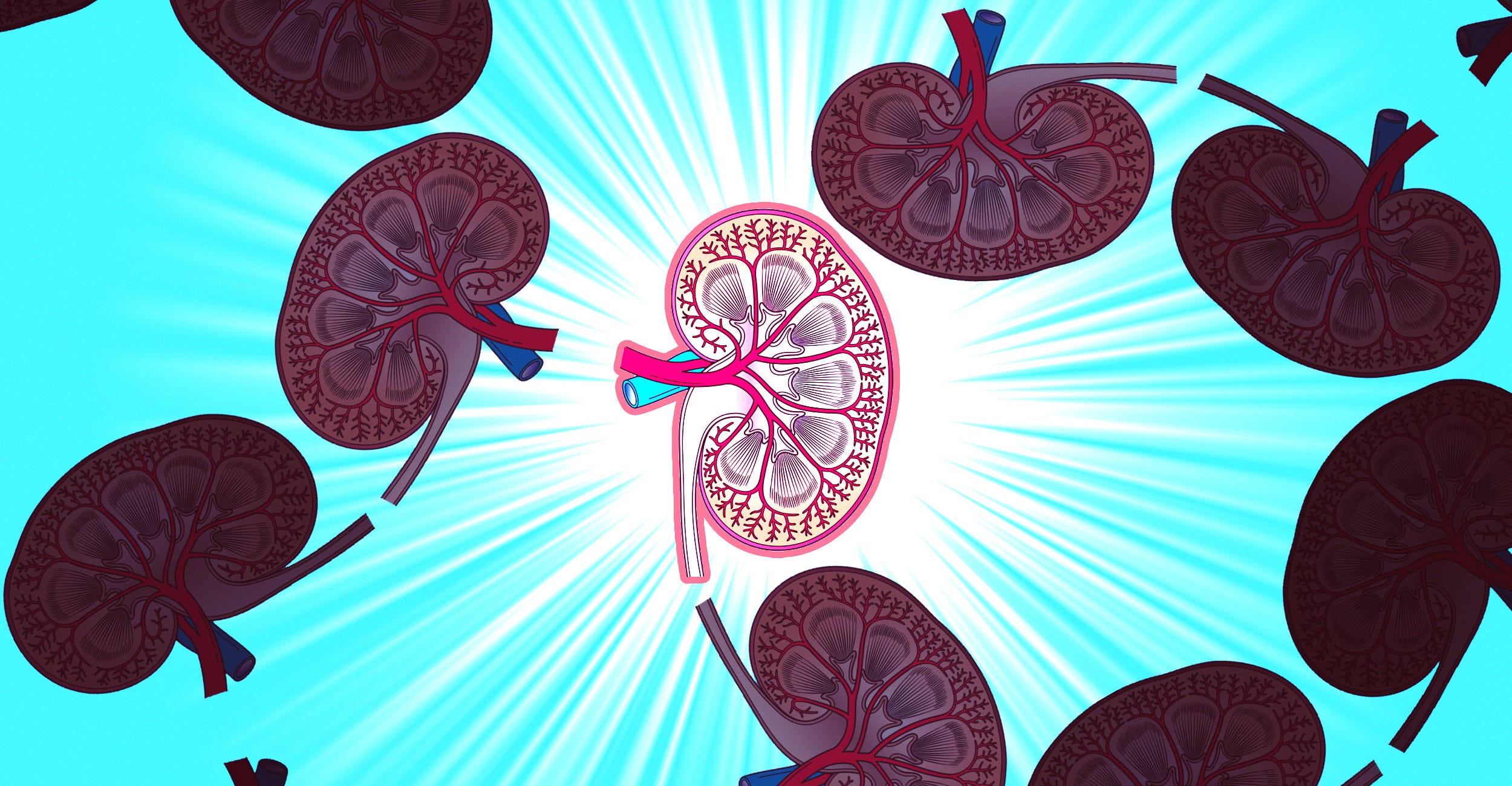 Infinite Scroll Special Edition Kidney Donation