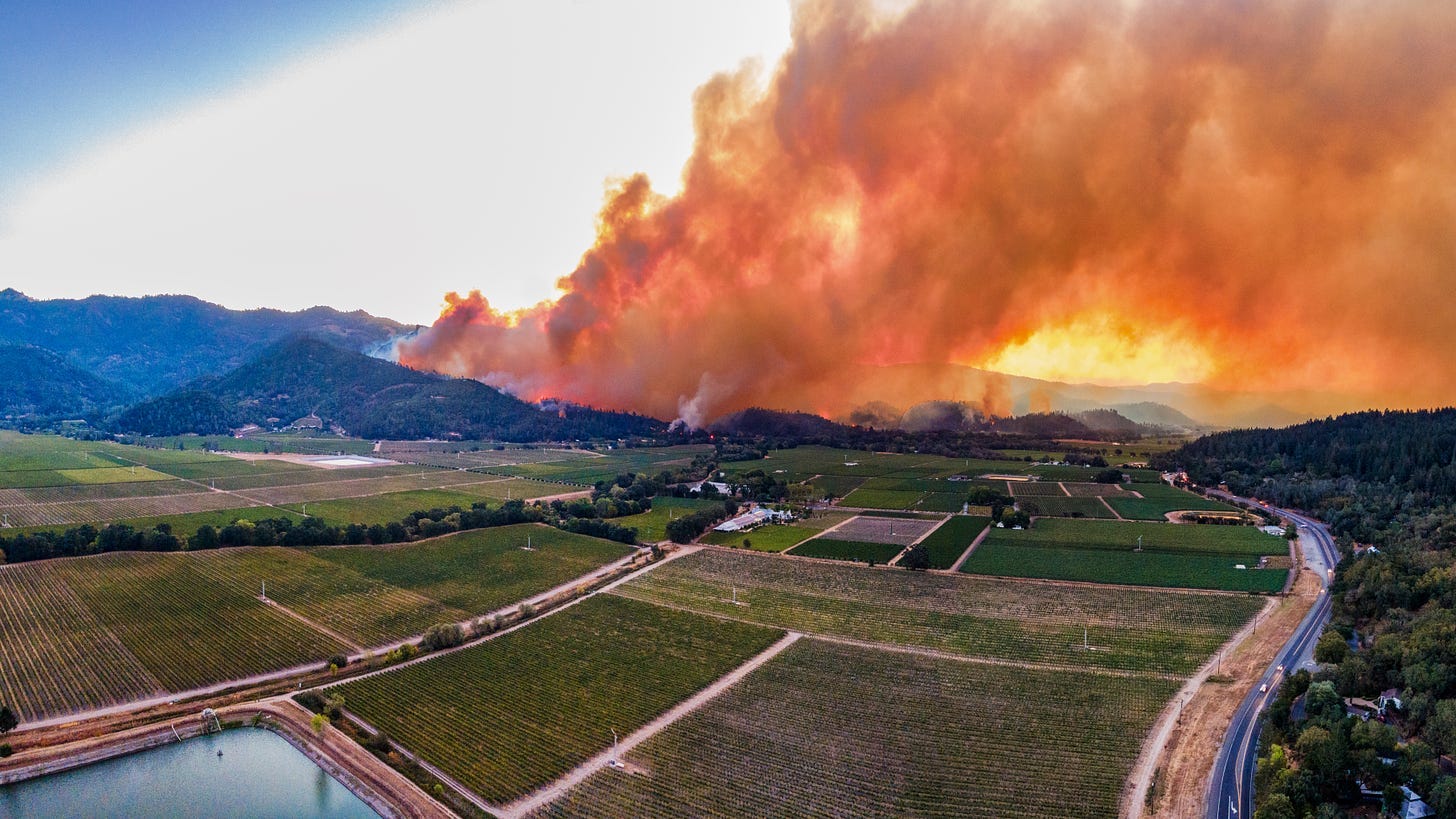 Napa Firewise, community groups collaborate for strengthened wildfire