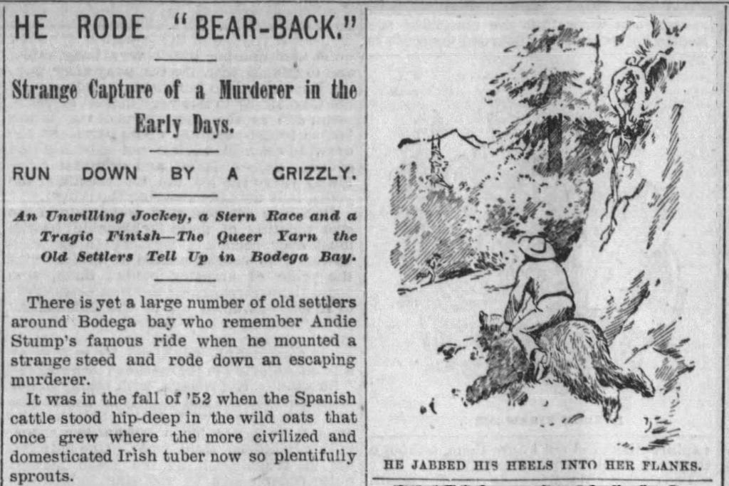 The Man Who Rode The Bear By Paul Brown