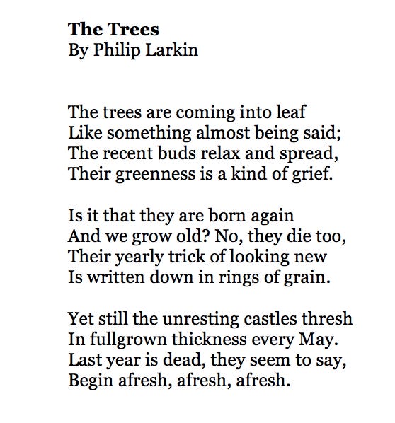 Sub Poems Poems for Spring - by Maya C. Popa - Poetry Today