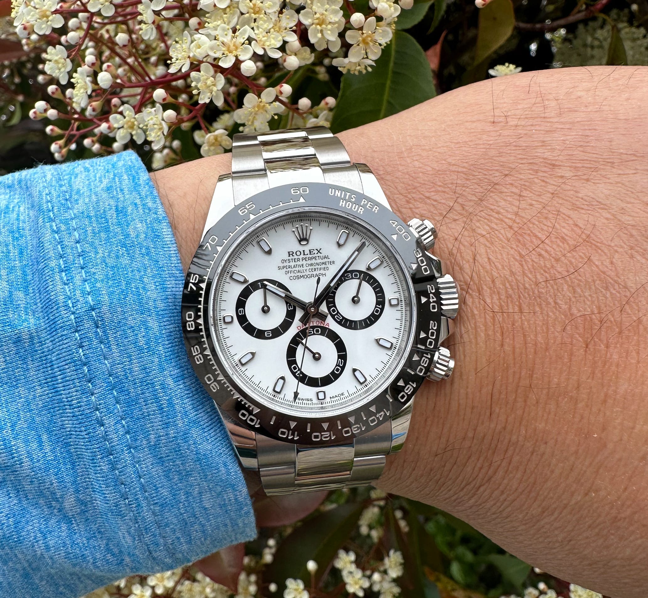 Rolex panda price outlet