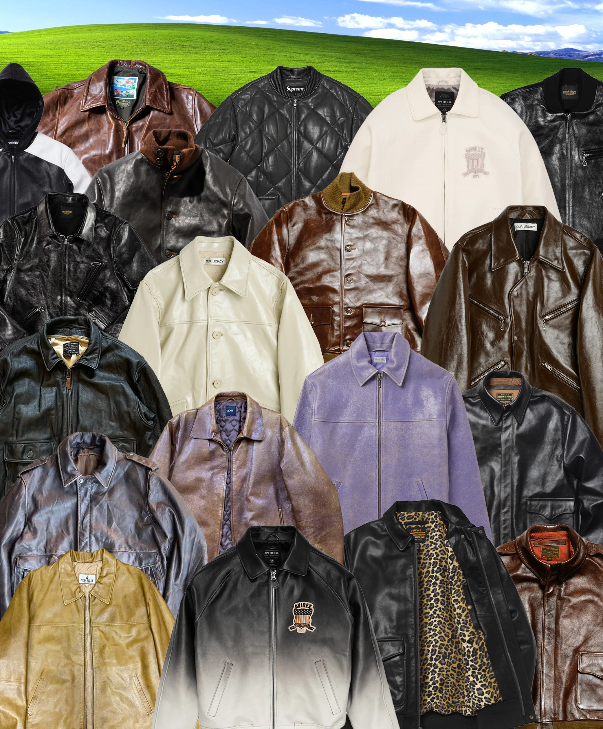 Avirex wear sales
