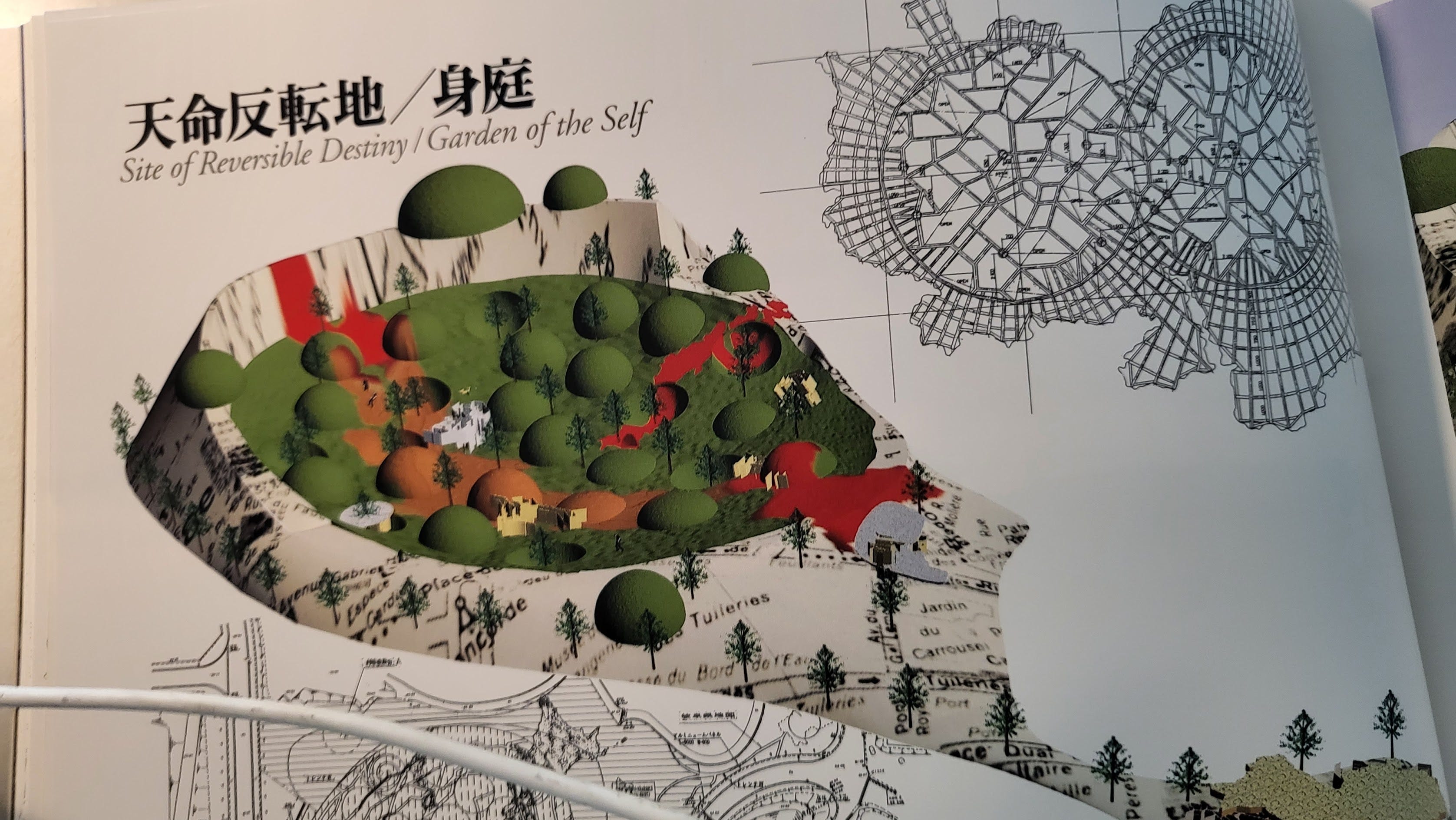 お歳暮ならオンライン Japan's Exploring Site 3D Real-life A Destiny: Reversible of R&B、ソウル