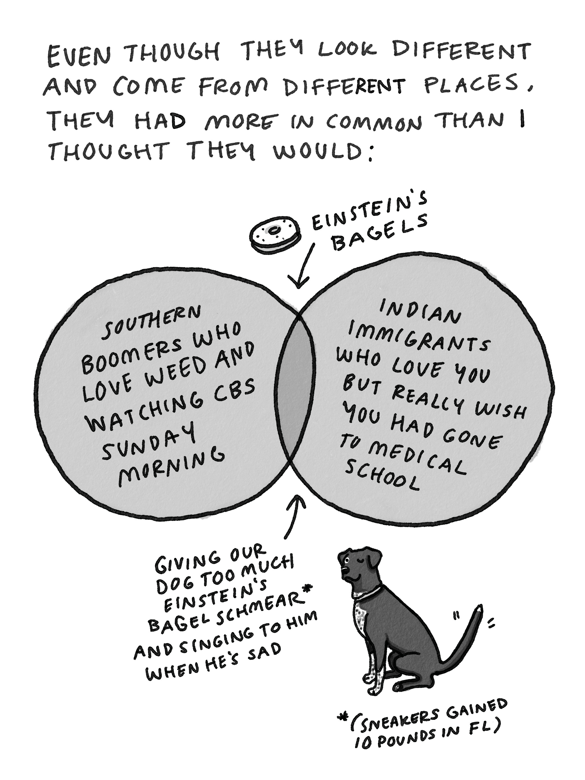 the inlaws by Polly Lou Adams The Poop Scoop