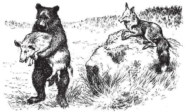The Bear and the Fox 1/2 - The Junior Classics