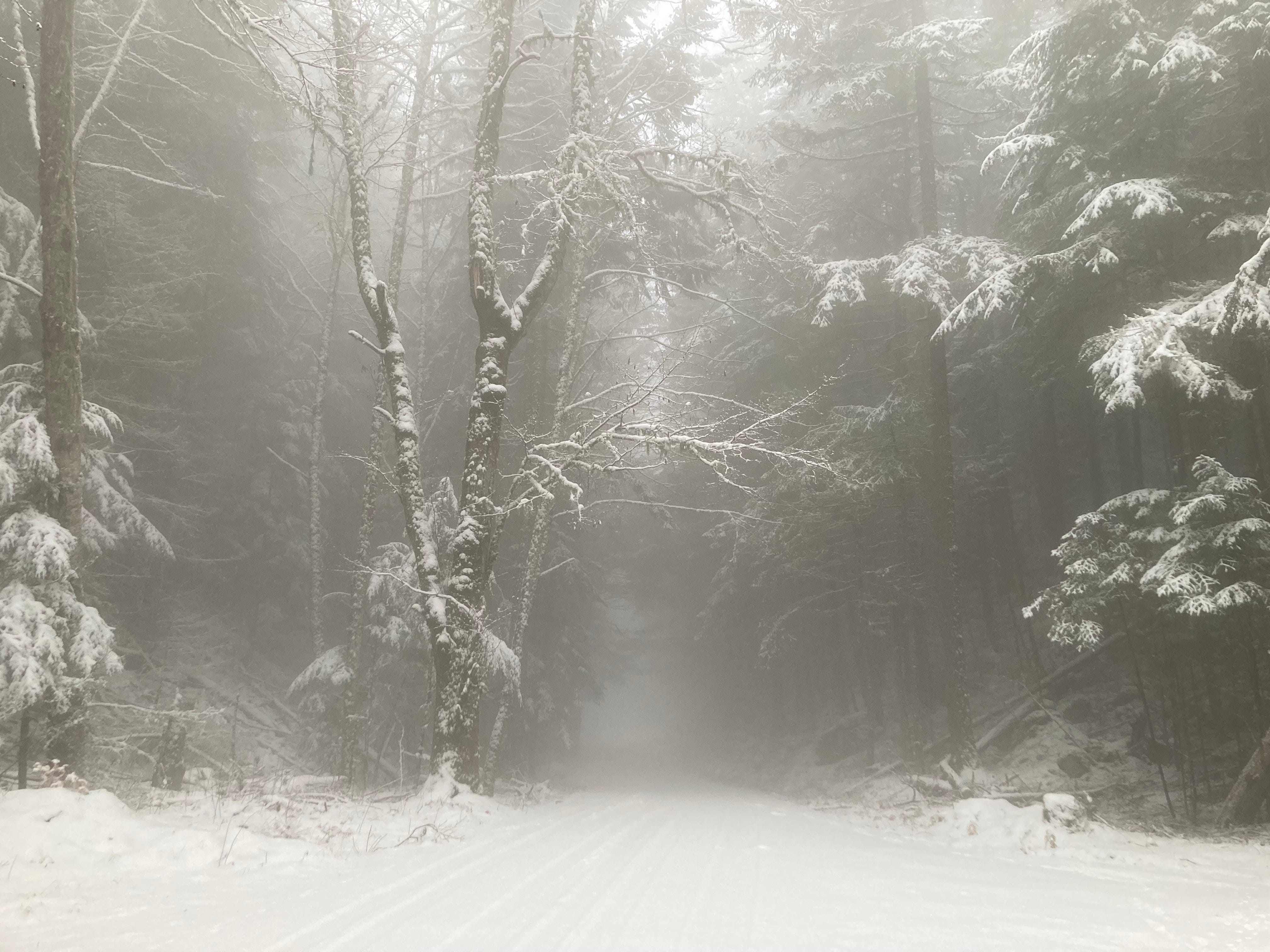the Microphones box set by Phil Elverum