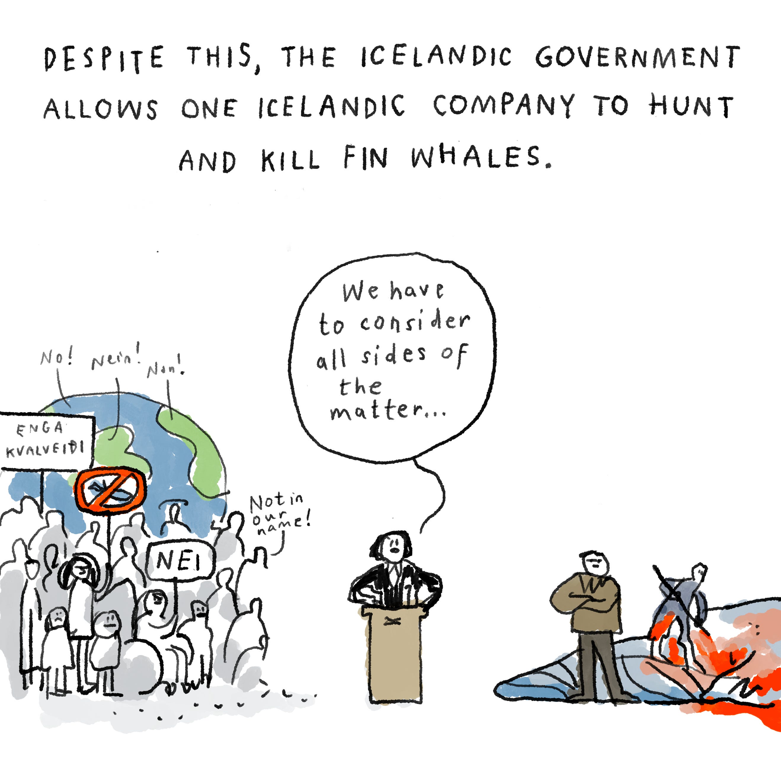 My Whale Report - The Rán Flygenring Show